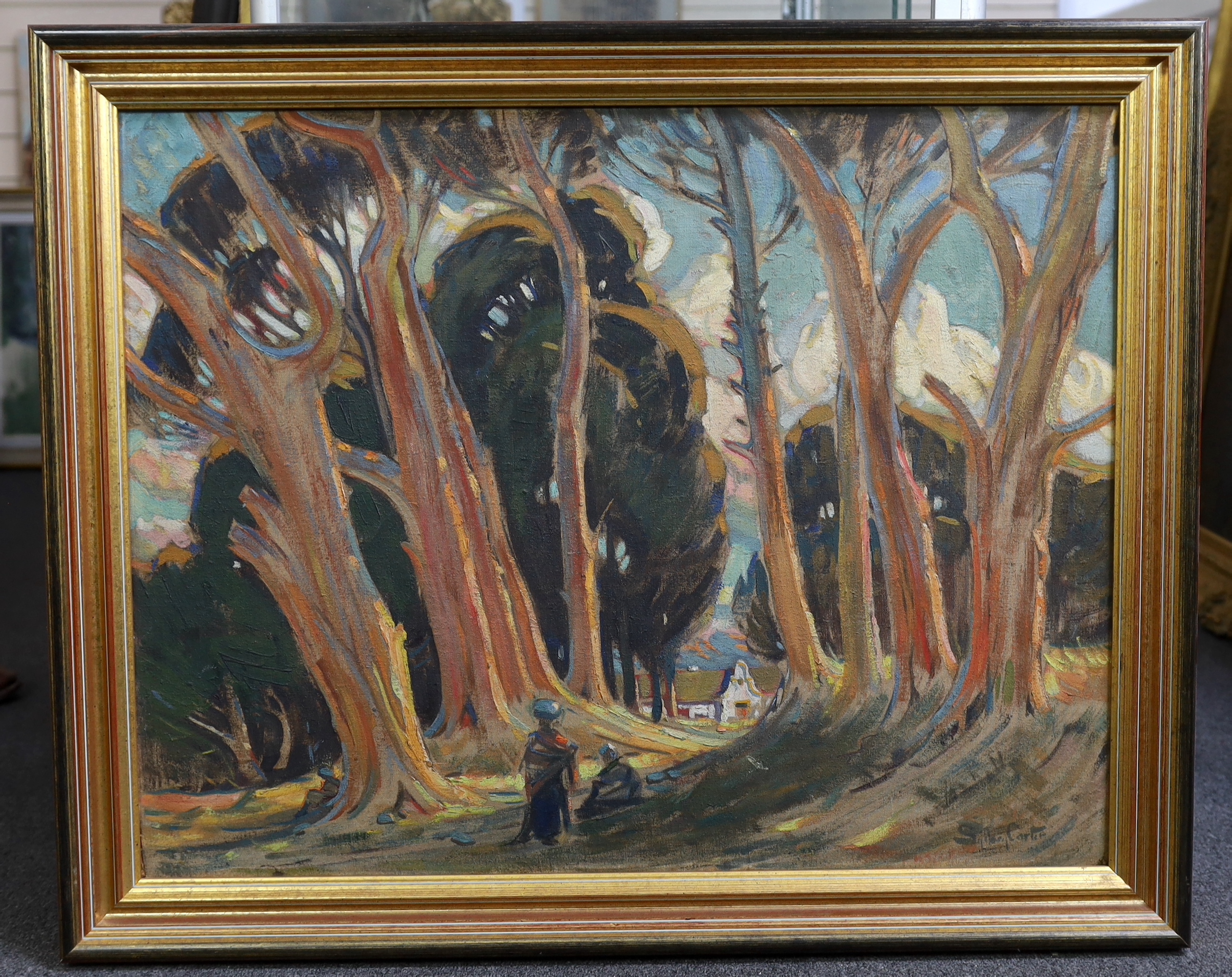 Sydney Carter (South African, 1874-1945), oil on board, 'A Cape Town Avenue', signed and inscribed verso, 62 x 80cm